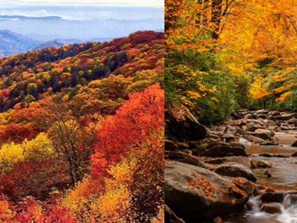 Fall. Texas. Equal&nbsp;Earth.